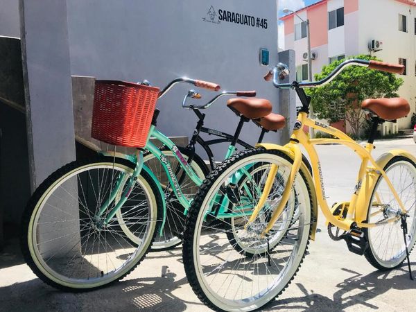 Puerto Morelos Activities