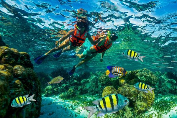 Puerto Morelos Reef