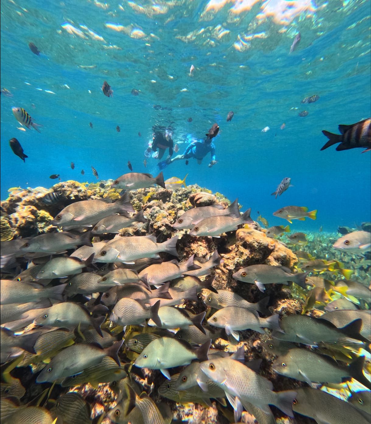 Light blue tones on the Cozumel coast