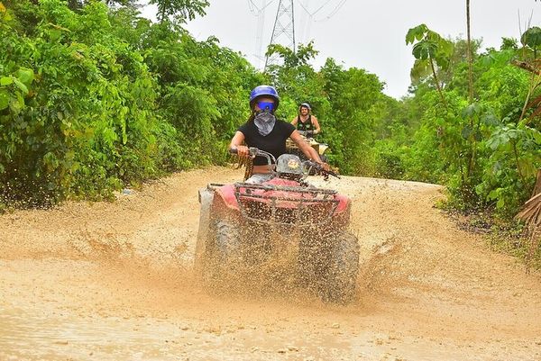 Selvatica Adventure Park